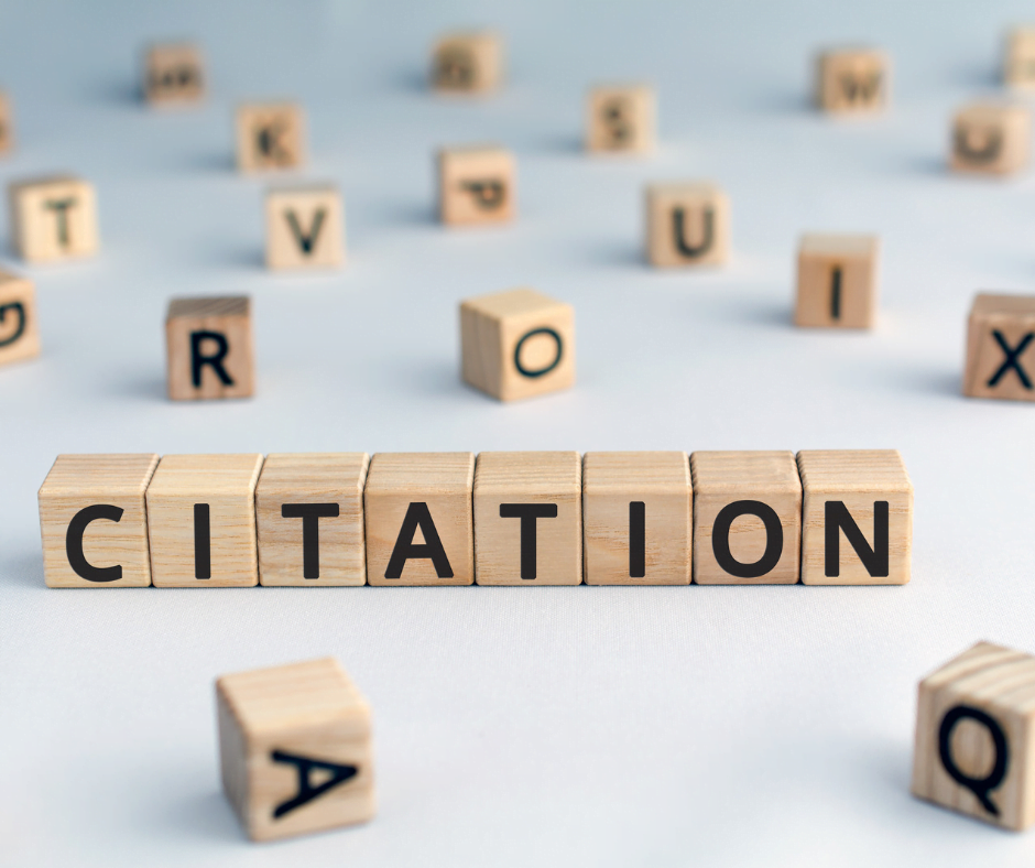 What is the meaning of SEO co-citation?