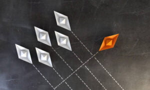 Production Cycle