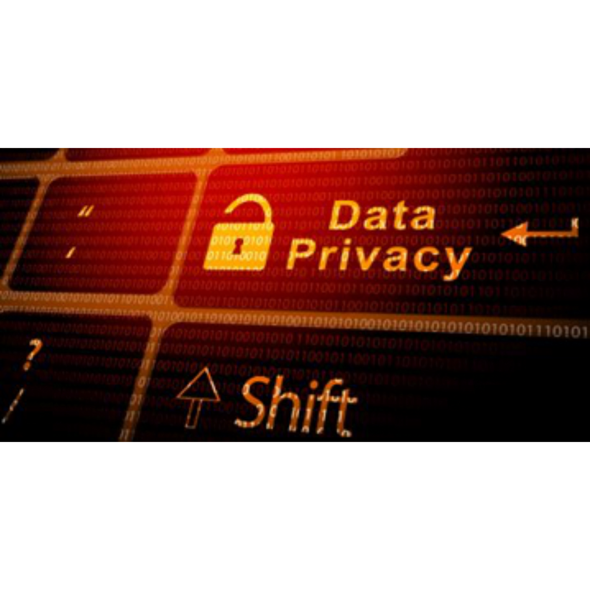 Data Privacy in Digital Marketing: Navigating the Challenges and Building Trust
